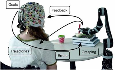 Feel Your Reach: An EEG-Based Framework to Continuously Detect Goal-Directed Movements and Error Processing to Gate Kinesthetic Feedback Informed Artificial Arm Control